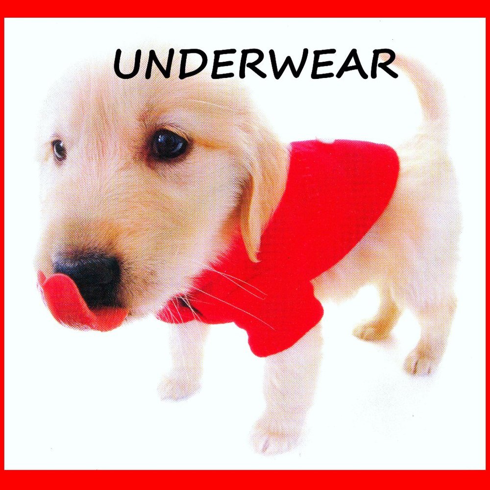 Different Styles of Underwear Available!